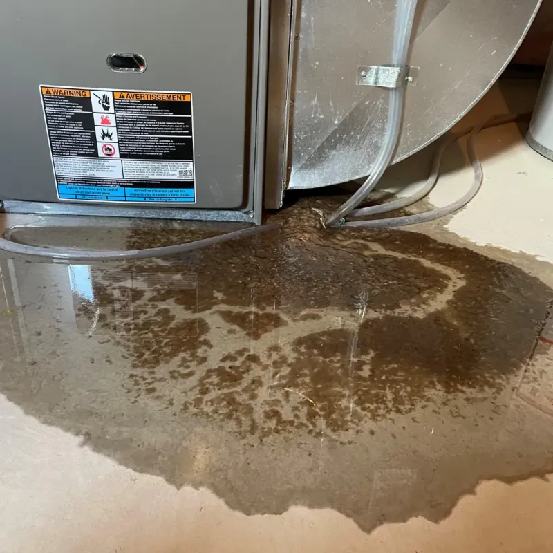 Appliance Leak Cleanup in Biggs, CA